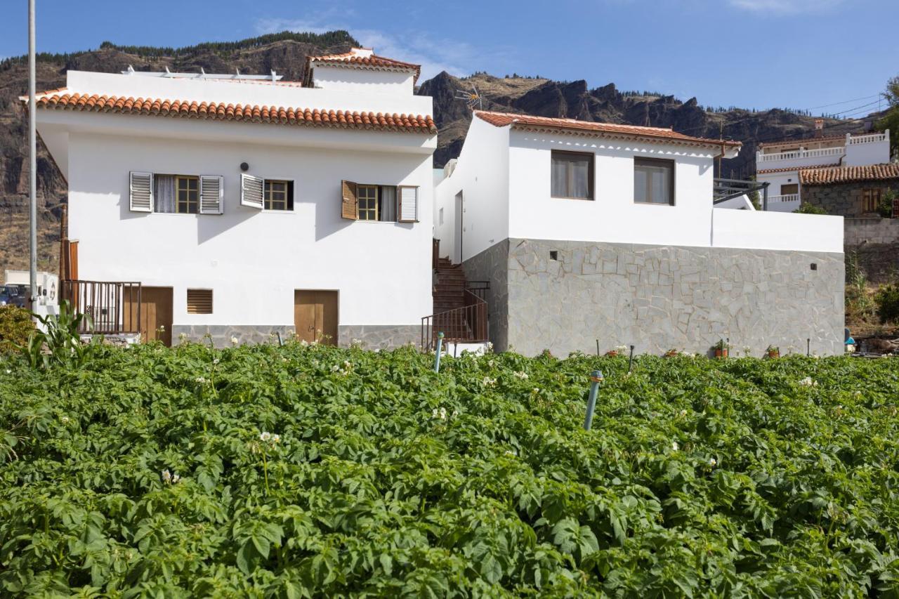 테헤다 Casa Maria With Roque Nublo View 아파트 외부 사진